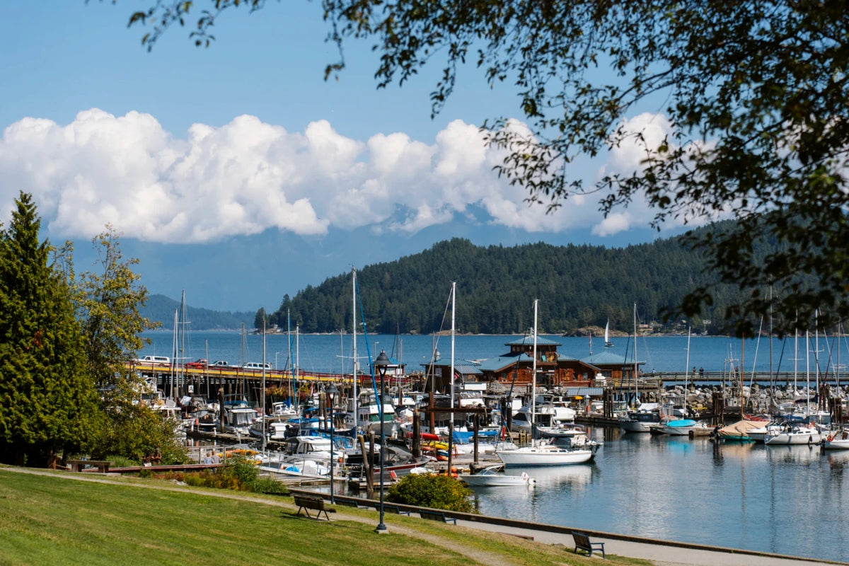 Sunshine Coast community